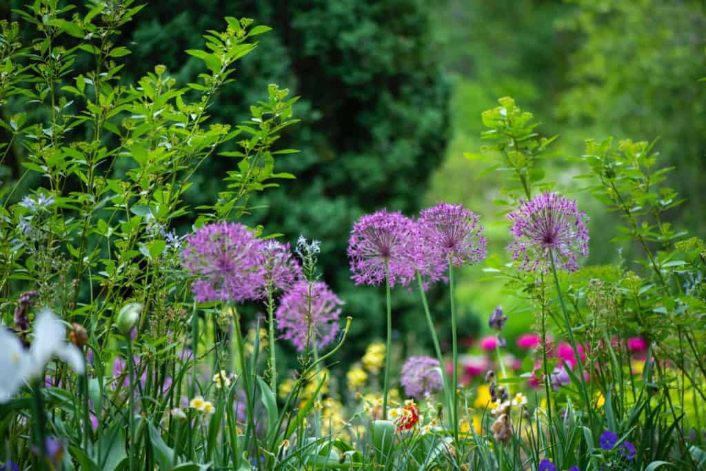 Spring Garden Design Chelsea Flower Show