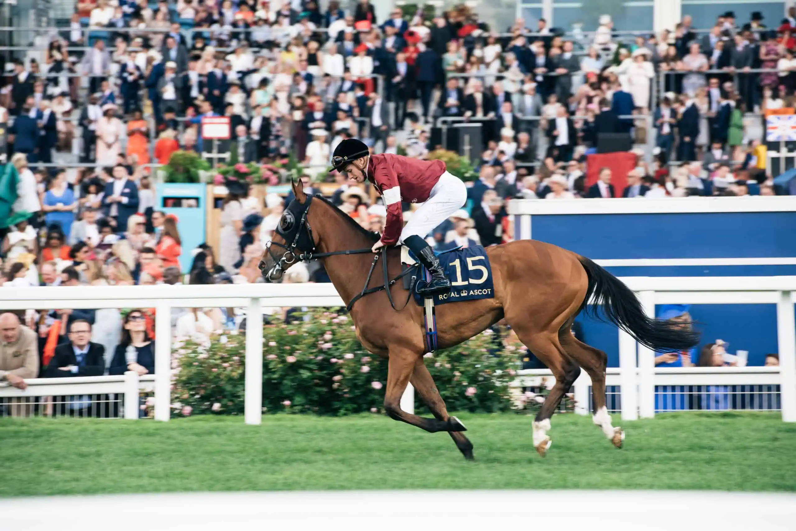 A Memorable Royal Ascot 2023 Meeting