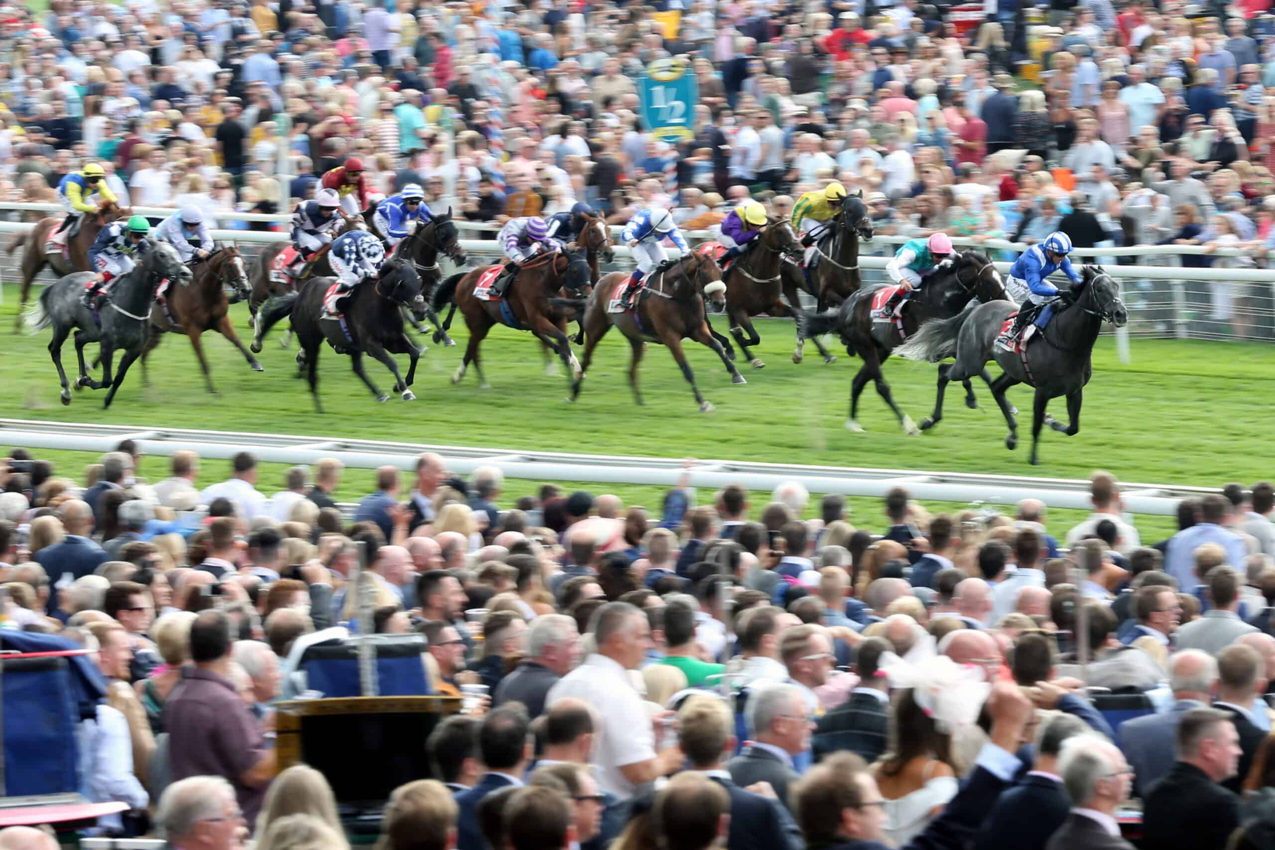 What to Expect from Ebor Festival 2023