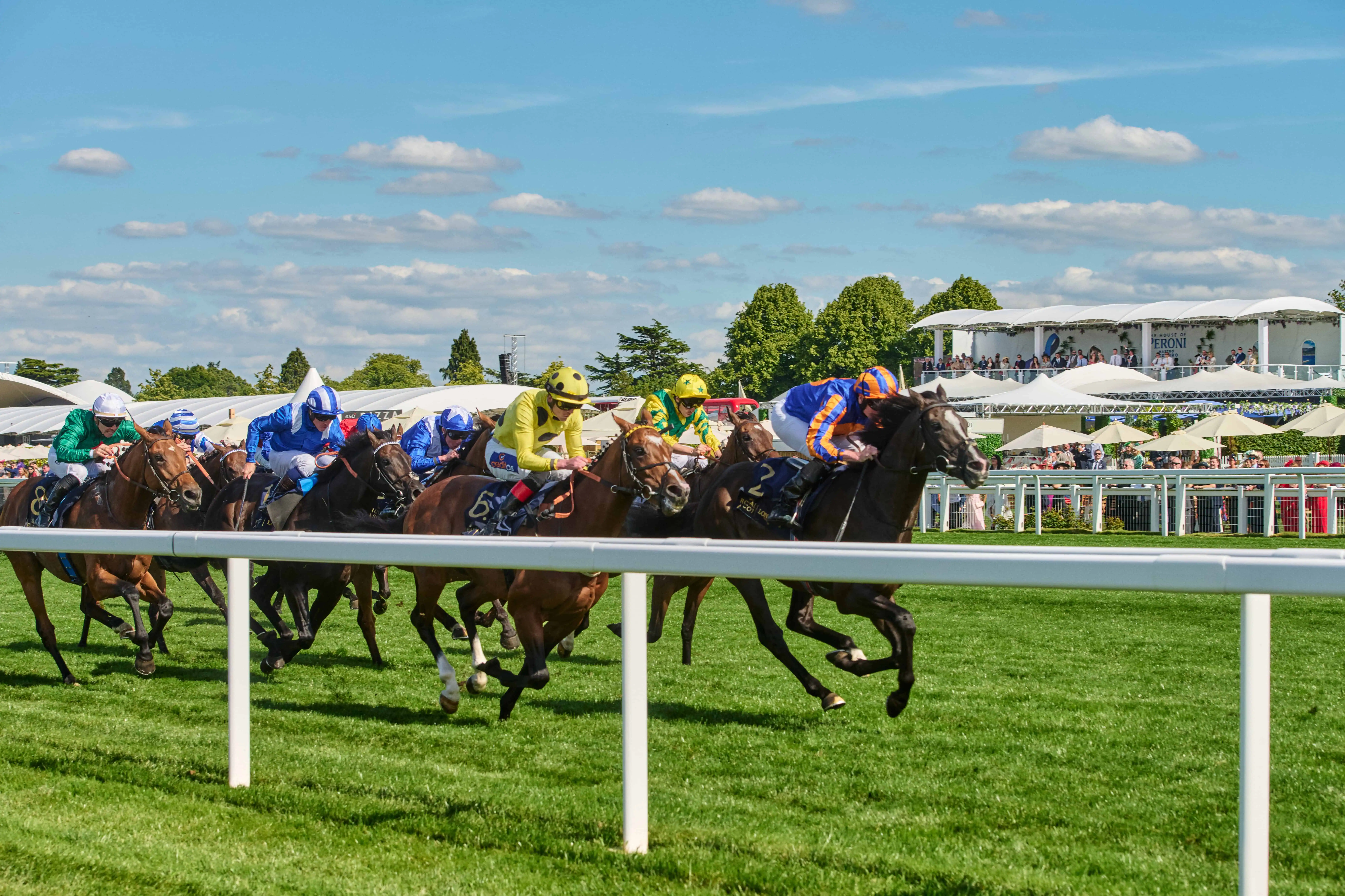 The 2026 UK Flat Racing Season: Your Complete Guide