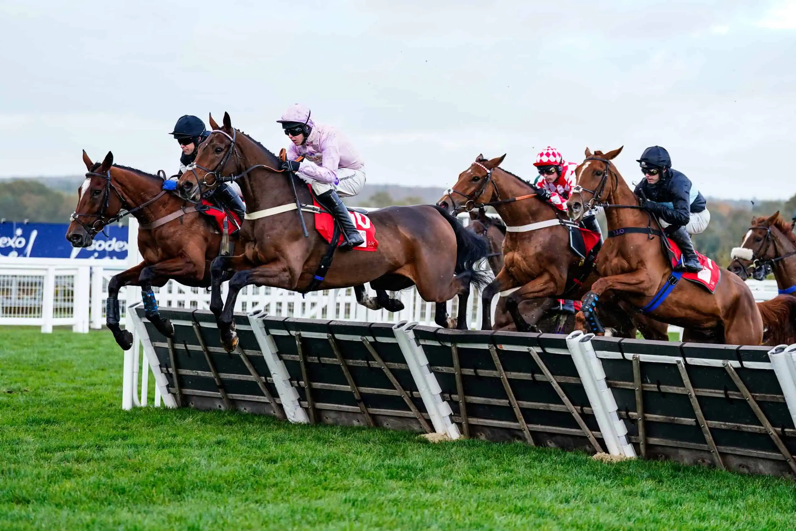Don’t Miss! Ascot Races 2024 and 2025