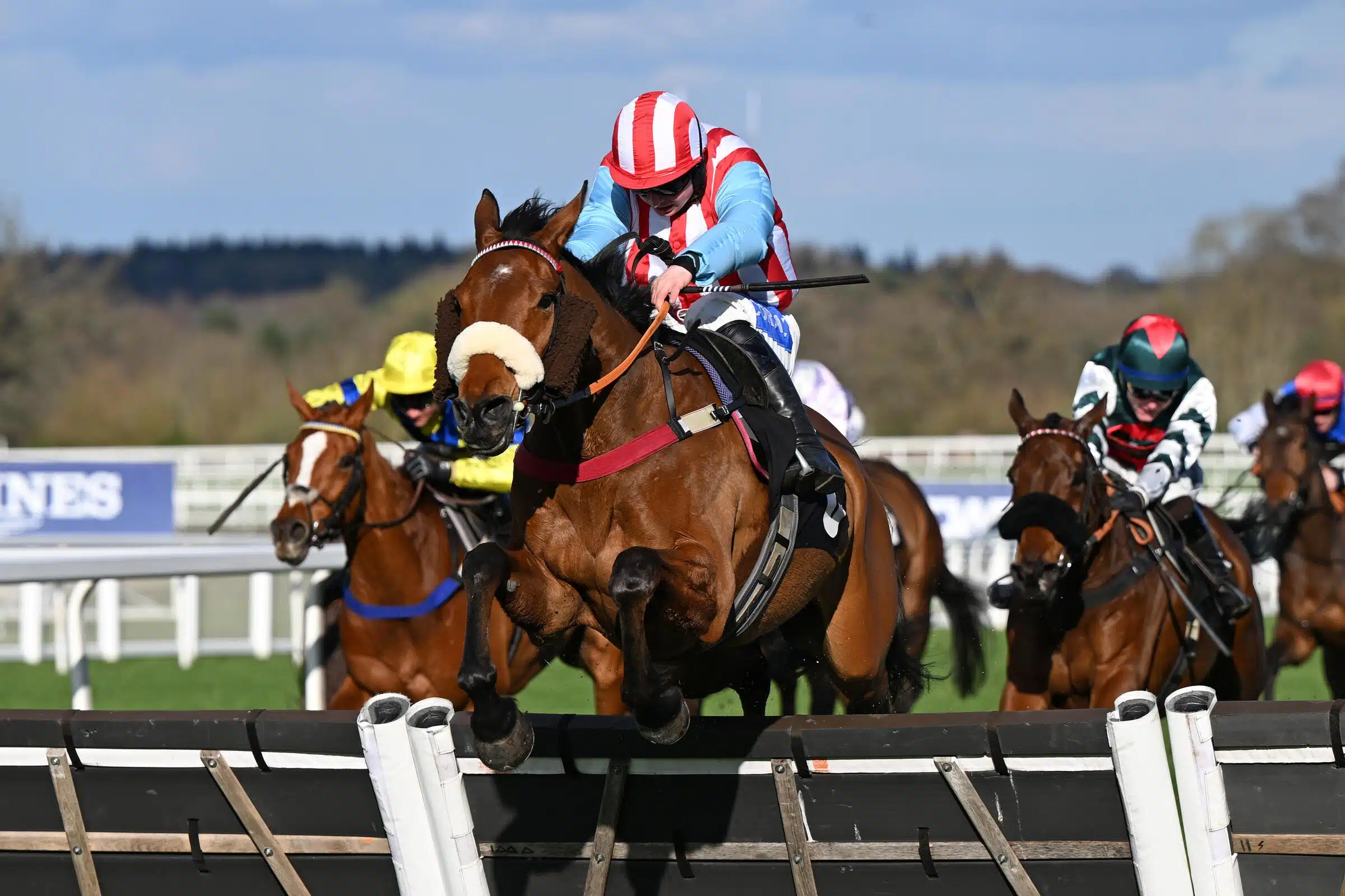 November Racing Weekend 2025, The Jumps Season Begins at Ascot