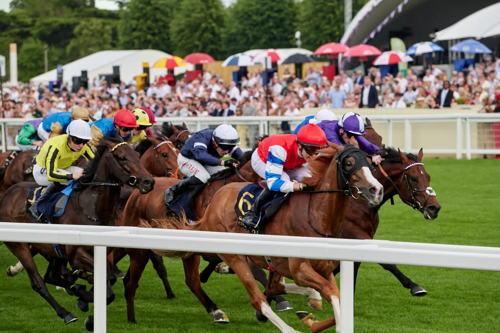 Beyond Royal Ascot: The Horse Racing Fixtures You Cannot Afford to Miss in 2026